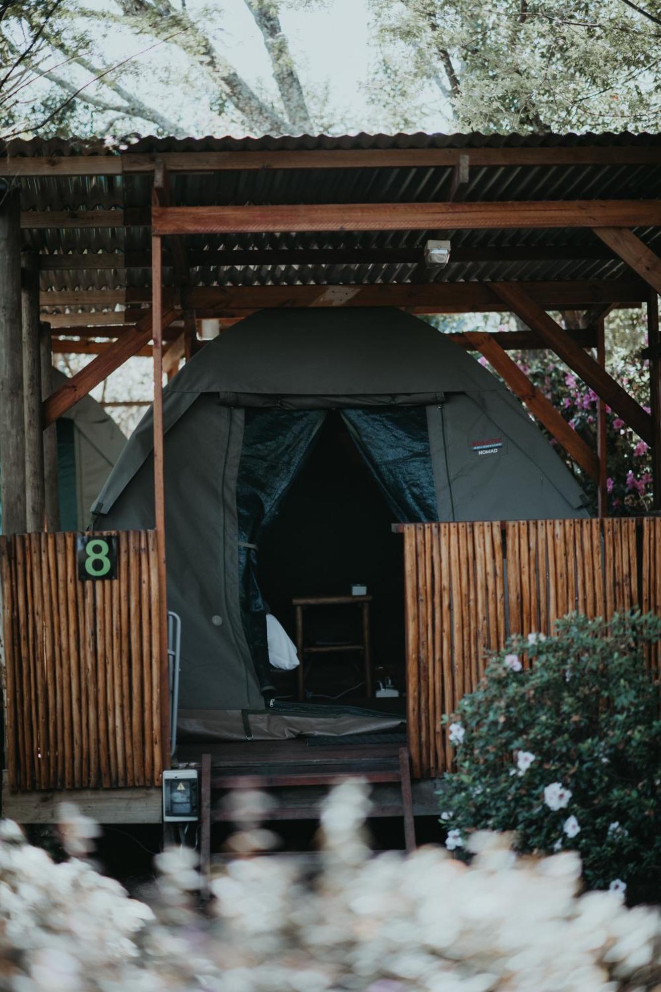 Storms River Forest Lodge Stormsrivier Extérieur photo